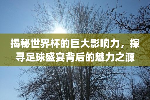 揭秘世界杯的巨大影响力，探寻足球盛宴背后的魅力之源金炬实业股份有限公司