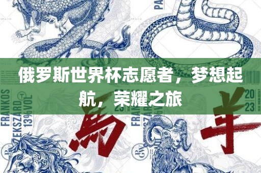 俄罗斯世界杯志愿者，梦想起航，荣耀之旅