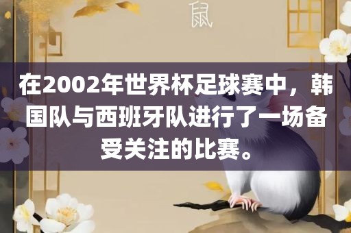 在2002年世界杯足球赛中，韩国队与西班牙队进行了一场备受关注的比赛。
