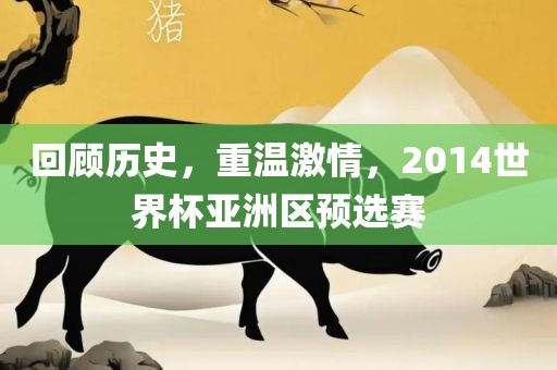 回顾历史，重温激情，2014世界杯亚洲区预选赛