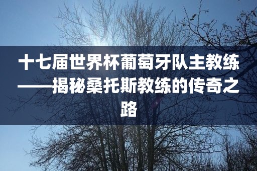 十七届世界杯葡萄牙队主教练——揭秘桑托斯教练的传奇之路金炬实业股份有限公司