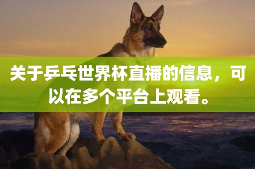 关于乒乓世界杯直播的信息，可以在多个平台上观看。金炬实业股份有限公司