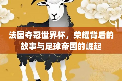 法国夺冠世界杯，荣耀背后的故事与足球帝国的崛起金炬实业股份有限公司