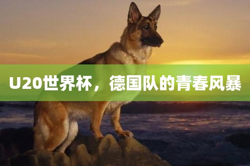 U20世界杯，德国队的青春风暴