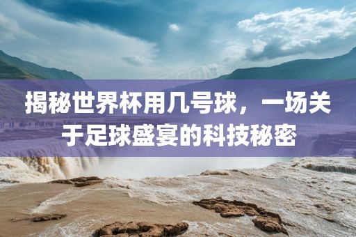 揭秘世界杯用几号球，一场关于足球盛宴的科技秘密