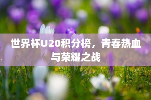 世界杯U20积分榜，青春热血与荣耀之战