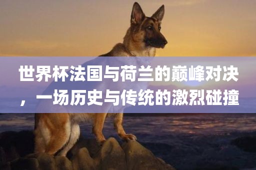 世界杯法国与荷兰的巅峰对决，一场历史与传统的激烈碰撞金炬实业股份有限公司