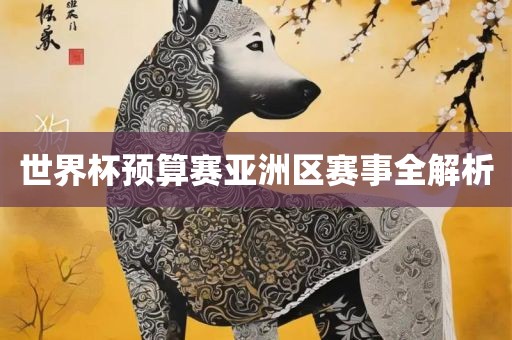 世界杯预算赛亚洲区赛事全解析