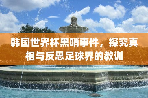 韩国世界杯黑哨事件，探究真相与反思足球界的教训金炬实业股份有限公司