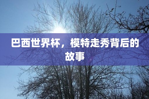 金炬实业股份有限公司巴西世界杯，模特走秀背后的故事