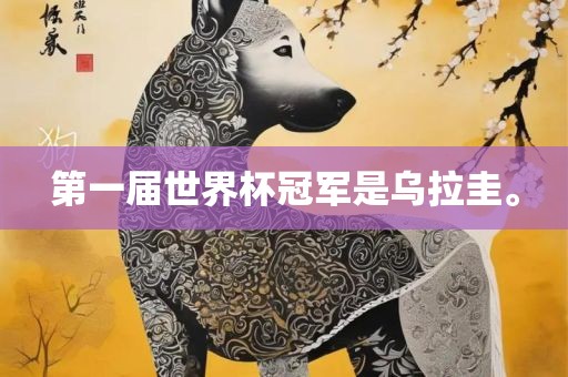 第一届世界杯金炬实业股份有限公司冠军是乌拉圭。