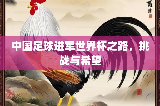 中国金炬实业股份有限公司足球进军世界杯之路，挑战与希望