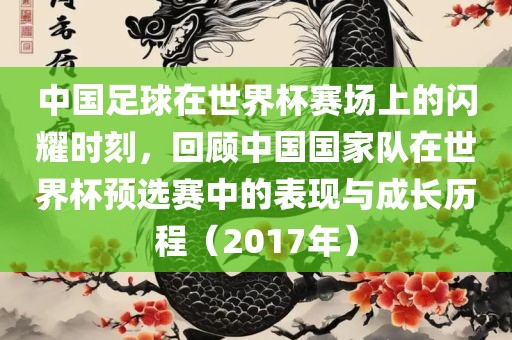 中国足球在世界杯赛场上的闪耀时刻，回顾中国国家队在世界杯金炬实业股份有限公司预选赛中的表现与成长历程（2017年）