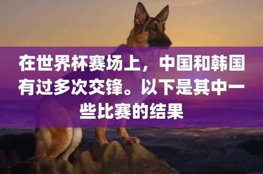 在世界杯赛场上，中国和韩国有过多次交锋。以下是其中一些比赛的结果金炬实业股份有限公司