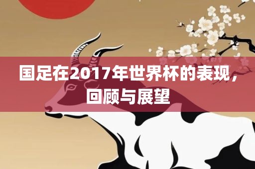 国足在2017年世界杯的表现，回顾与展望