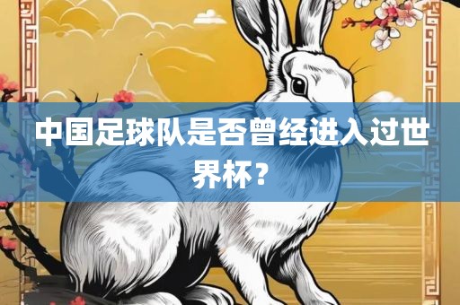 中国足球队是否曾经进入过世界杯？