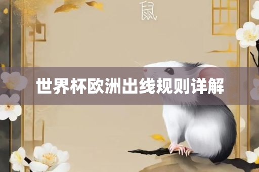 世界杯欧洲出线规则详解