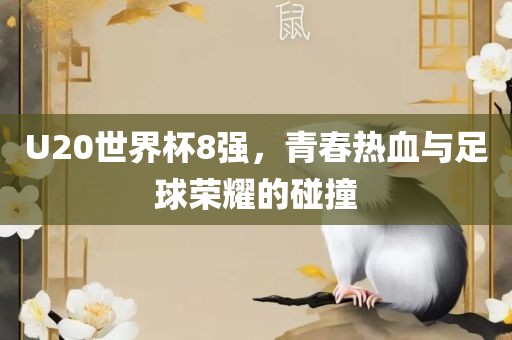 U20世界杯8强，青春热血与足球荣耀的碰撞
