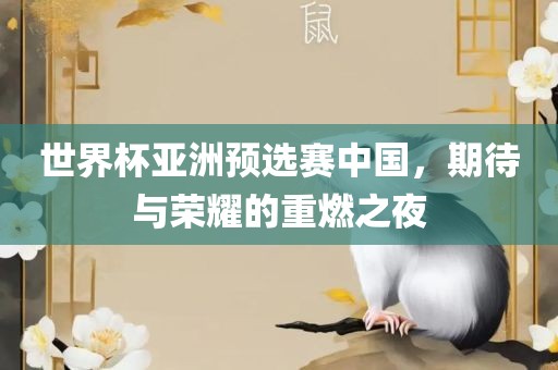 世界杯亚洲预选赛中国，期待与荣耀的重燃之夜