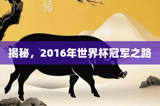 揭秘，2016年世界杯冠军之路