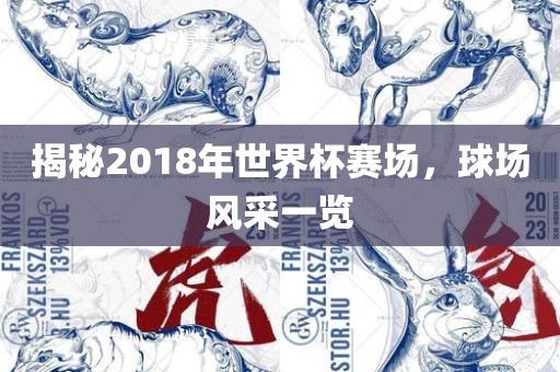 揭秘2018年世金炬实业股份有限公司界杯赛场，球场风采一览