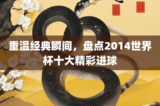 重温经典瞬间，盘点2014世界杯十大精彩进球金炬实业股份有限公司