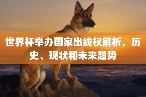 世界杯举办国家出线权解析，历史、现状和未来趋势金炬实业股份有限公司