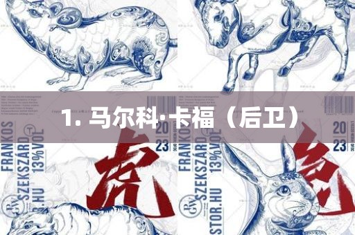 1. 马尔科·卡福（后卫）