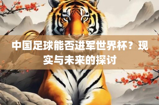 中国足球能否进军世界杯？现实与未来的探讨金炬实业股份有限公司