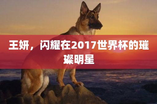 王金炬实业股份有限公司妍，闪耀在2017世界杯的璀璨明星