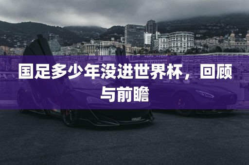 国足多少年没进世界杯，回顾与前瞻