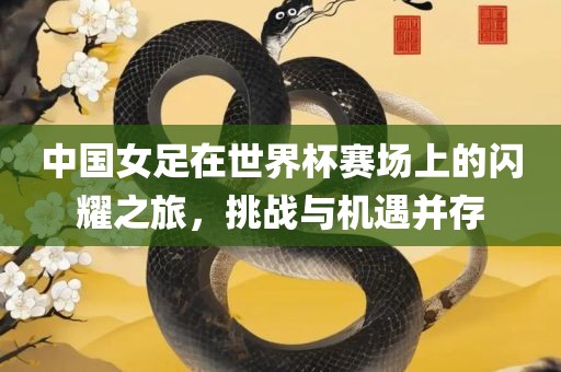 中国女足在世界杯赛场上的闪耀之旅，挑战与机遇并存