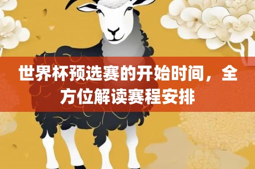 世界杯预选赛的开始时间，全方位解读赛程安排金炬实业股份有限公司