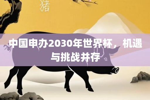 中国申办2030年世界杯，机遇与挑战并存