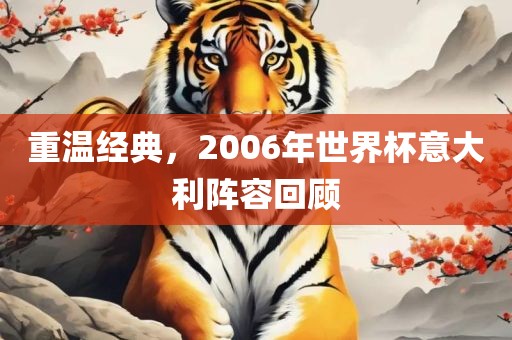 重温经典，2006年世界杯意大利阵容回顾金炬实业股份有限公司