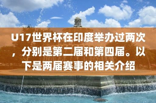 U17世界杯在印度举办过两次，分别是第二届和第四届。以下是两届赛事的相关介绍