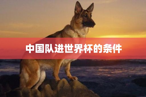 中国队进世界杯的条件