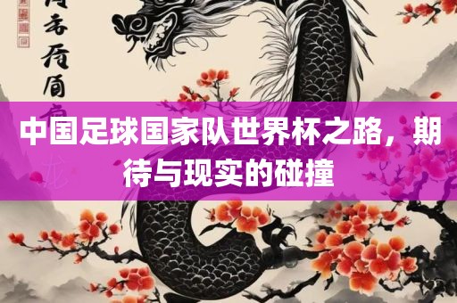 中国足球国家队世界杯之路，期待与现实的碰撞