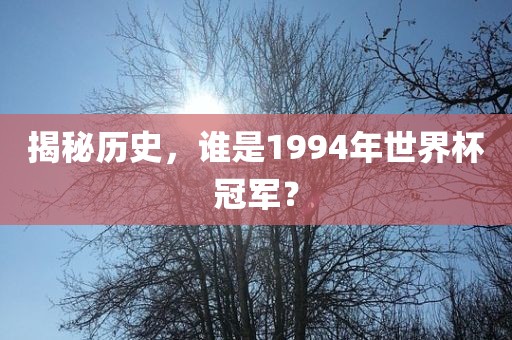 揭秘历史，谁是1994年世界杯冠军金炬实业股份有限公司？
