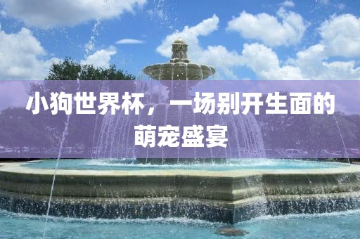 小狗世界杯，一场别开生面的萌宠盛宴金炬实业股份有限公司