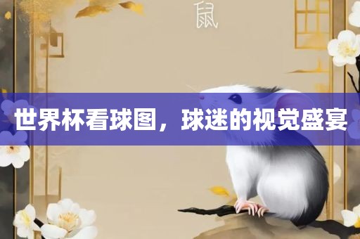 世界杯看球图，球迷的视觉盛宴金炬实业股份有限公司