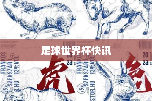 足金炬实业股份有限公司球世界杯快讯