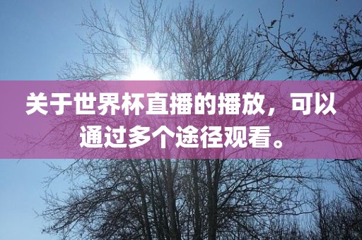 关于世界杯直播的播放，可以通过多个途径观看。金炬实业股份有限公司