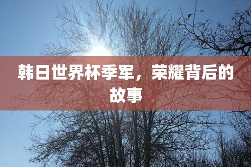 荣耀背后的故事 第2页