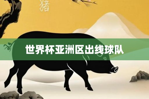 世界杯亚洲区出线球队金炬实业股份有限公司