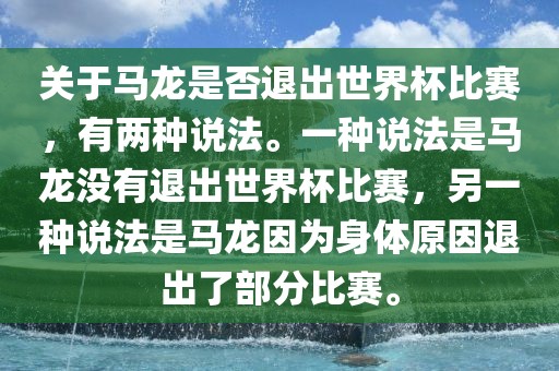 关于马龙是否退出世界杯比赛，有两种说法。一种说法是马龙没有退出世界杯比赛，另一种说法是马龙因为身体原因退出了部分比赛。