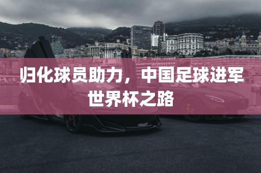 归化球员助力，中国足球进军世界杯之路金炬实业股份有限公司