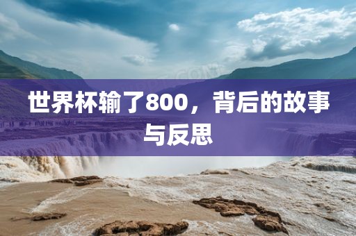 世界杯输了800，背后的故事与反思金炬实业股份有限公司
