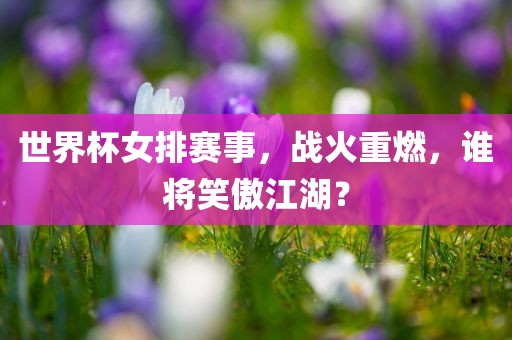 世界杯女排赛事，战火重燃，谁将笑傲江湖？