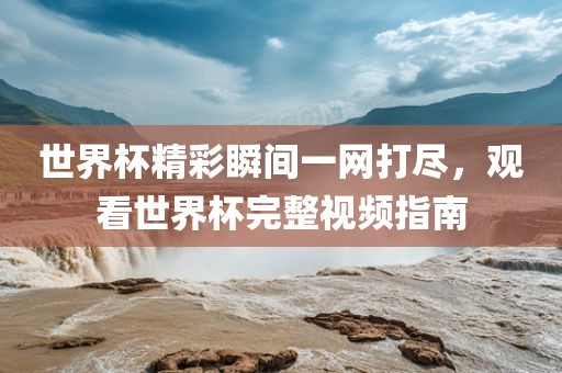 世界杯精彩瞬间一网金炬实业股份有限公司打尽，观看世界杯完整视频指南